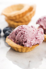 Fruit ice cream with blueberries