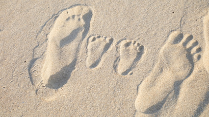 The parents' footprint besides the little cute footprint of their baby.