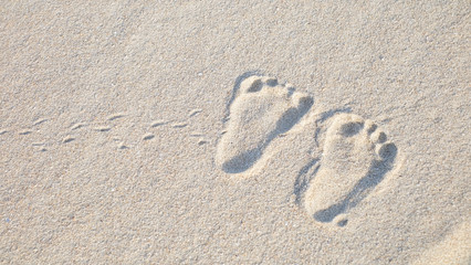 The little cute footprint of baby on the sand.