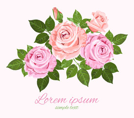 Pink and beige vector roses with green leaves