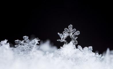 snow crystals, snow