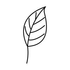 leaf plant ecology icon vector illustration design