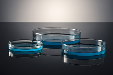 experiment equipment(schele) on the black background.