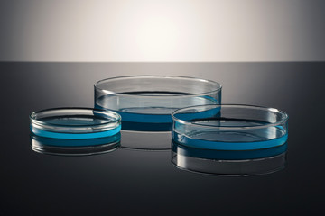 experiment equipment(schele) on the black background.
