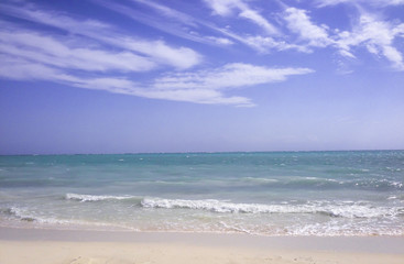 Fototapeta na wymiar Beach in bahamas.