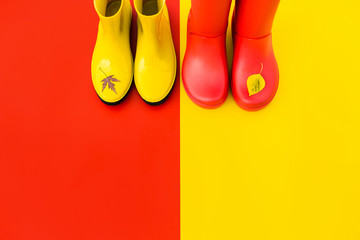 Bright women's rain boots on colourful backgrounds with flown leaves at the tips. The concept of 