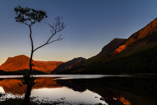 Magnificent sunset on glowing moutains with a mirror lake and a silhouetted birch tree in Buttermere Cumbria, England, U
