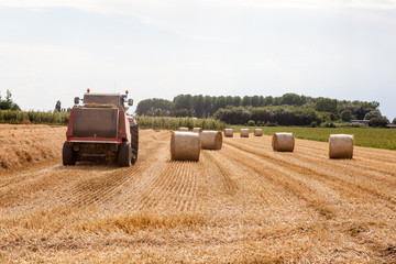 Obraz premium An hay bale