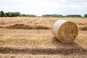 An hay bale