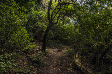 Putangirua Pinnacles, New Zealand