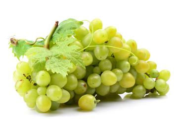 Grapes on a white background