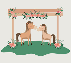 baby shower card with cute horses couple vector illustration design