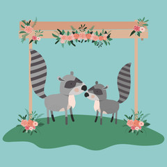 baby shower card with cute raccoons couple vector illustration design