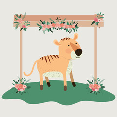 baby shower card with cute tiger vector illustration design