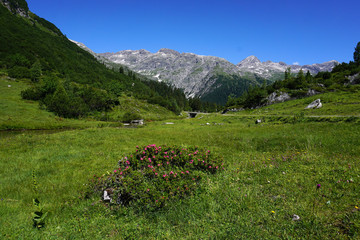 Lechquellengebirge, Spuller Tal, Spullerbach, Oesterreich, Vorarlberg,