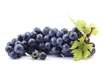Grapes on a white background