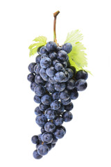 Grapes on a white background
