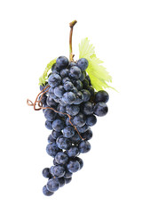 Grapes on a white background