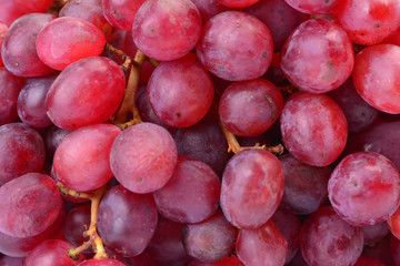 Grapes, this year's harvest