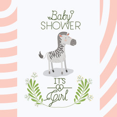 baby shower card with cute zebra vector illustration design