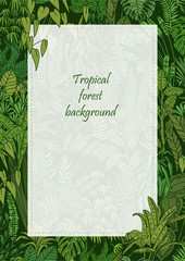 Tropical forest background with a place for your text. You can change the transparency and the size of the white background