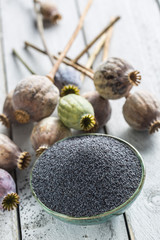 Poppy seed with their heads on wooden boards