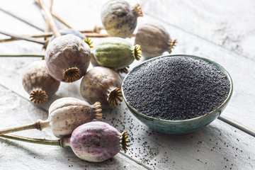 Poppy seed with their heads on wooden boards