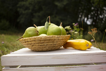 Green pears in a basket of straw. Yellow pumpkin on a white wooden box laid on the grass.  The home growing of fresh and tasty crops.