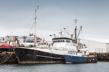 Fototapeta premium Fishing boats moored in port of Reykjavik
