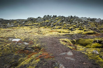 Nature of Iceland, empty landscape