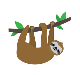 Fototapeta premium cute sloth hanging on branch