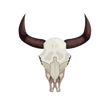 Cow skull icon