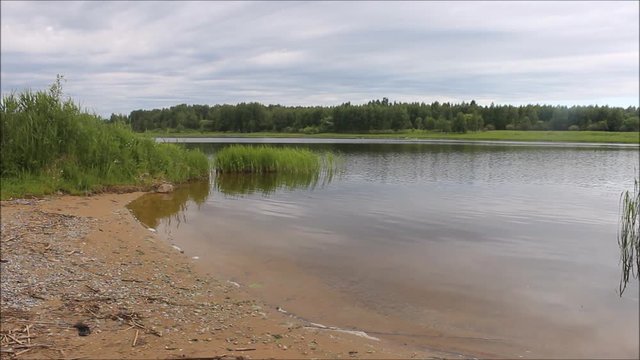Good weather on the river, calm water, relax - summer view from the sandy shore with small stones with thickets of green grass on the pond with trees on the far shore
