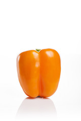 orange color paprika isolated white.