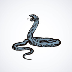 Snake. Vector drawing