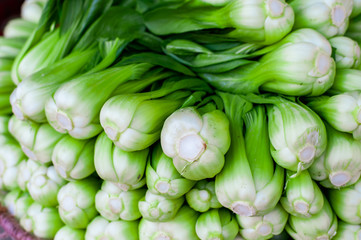 A bunch of fresh and green Chinese cabbage plant