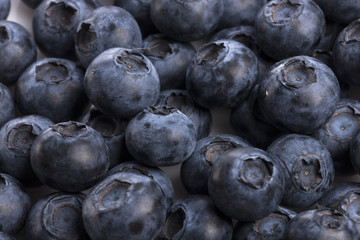 blueberry on the white background