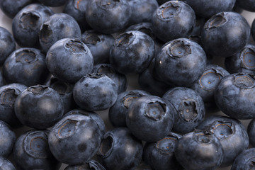 blueberry on the white background