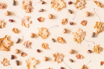 Autumn composition. Pattern made of autumn dried leaves, nuts, acorns on pastel beige background. Flat lay, top view