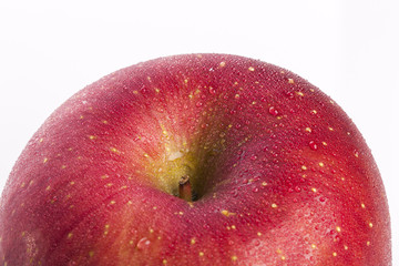 red apple on white background.
