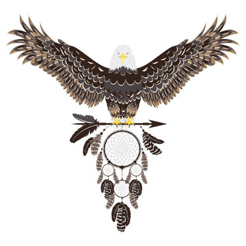 Bald eagle with dreamcatcher