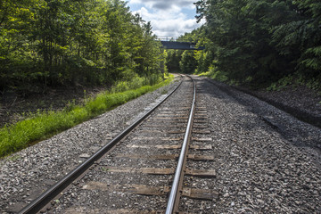 Obraz premium Railroad curves around path through thick trees inside Pennsylvania