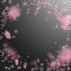 Sakura petals falling down. Romantic pink flowers vignette. Flying petals on transparent square back