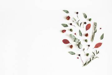 Autumn composition. Pattern made of eucalyptus branches, rose flowers, dried leaves on white background. Autumn, fall concept. Flat lay, top view, copy space