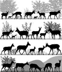 Silhouettes of pronghorn antelopes and its cubs outdoors