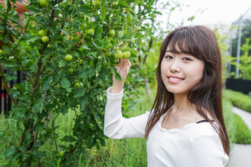 果物狩り・収穫