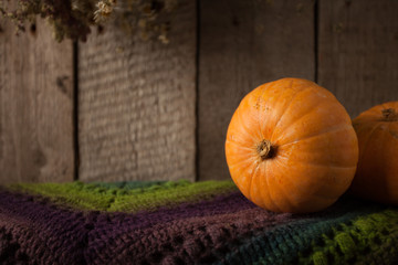 Group of pumpkins on a grunge wooden backdrop. Woolen scarf, Thanksgiving, coutryside And Fall Background, copy space