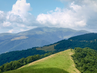 Glade on mountain crest with forest on slopes in Carpathians