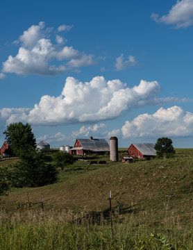 Traditional Red Barns On A Midwestern Farm