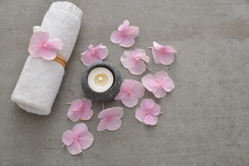 Fototapeta na wymiar Many Pink hydrangea petals with candle and rolled towel on gray background